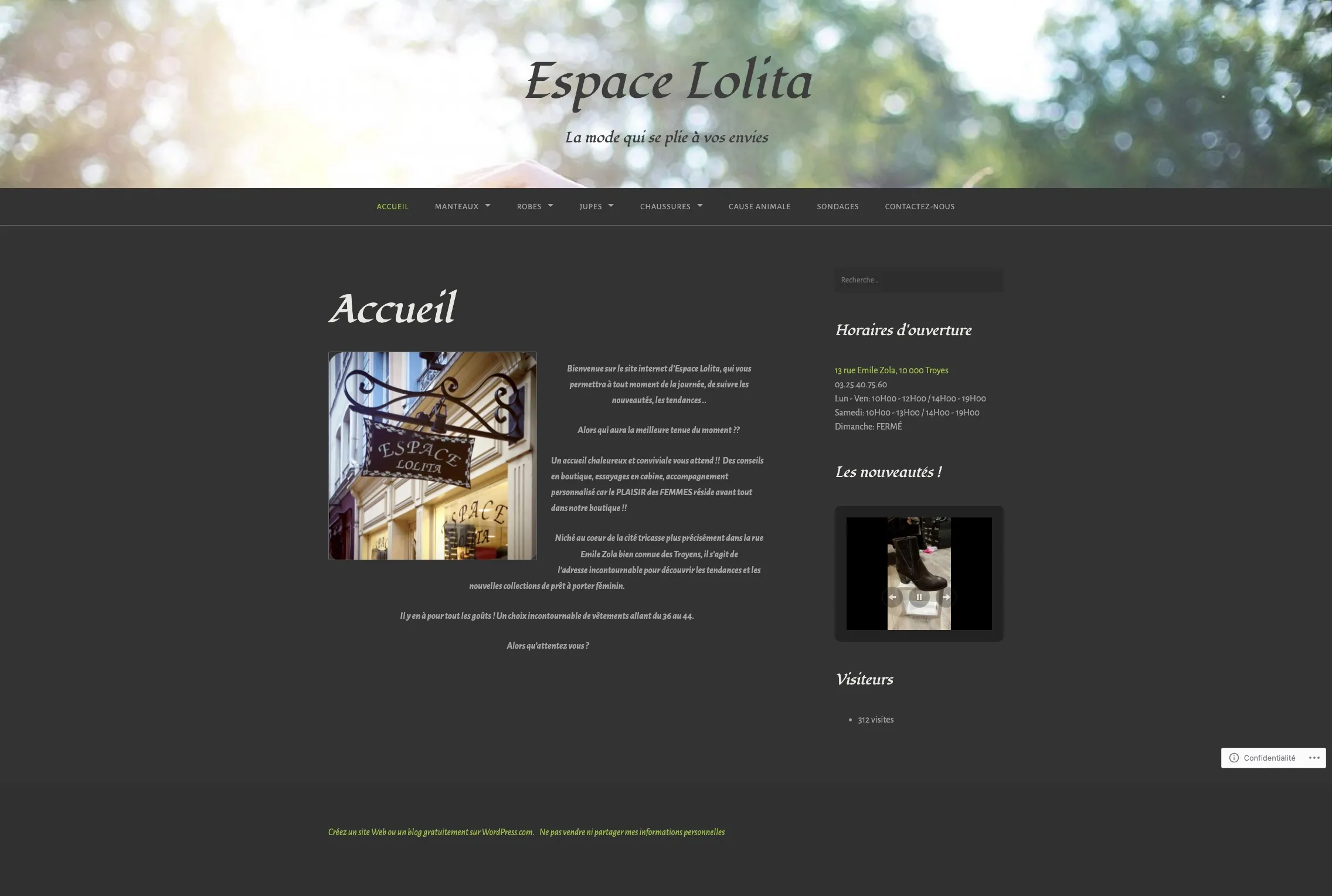Screenshot website Espace Lolita before